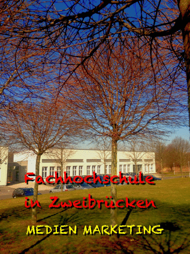 fachhochschule Zweibrcken medienmarketing